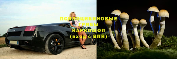 ешки Нягань