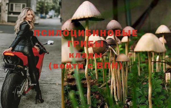 бутират Балахна